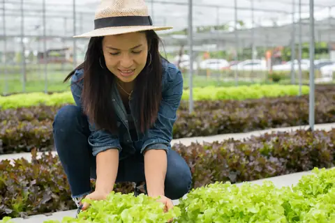 Here Are Some Tips For Starting An Urban Farm From Brooklyn Grange