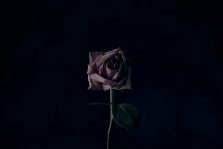 Have I fallen out of love or am I depressed?